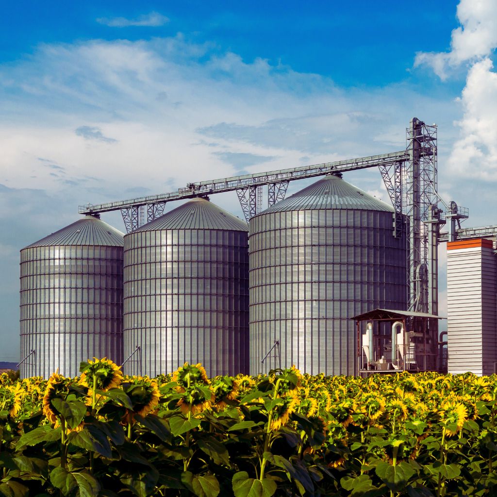 Aspiradora de granos industrial